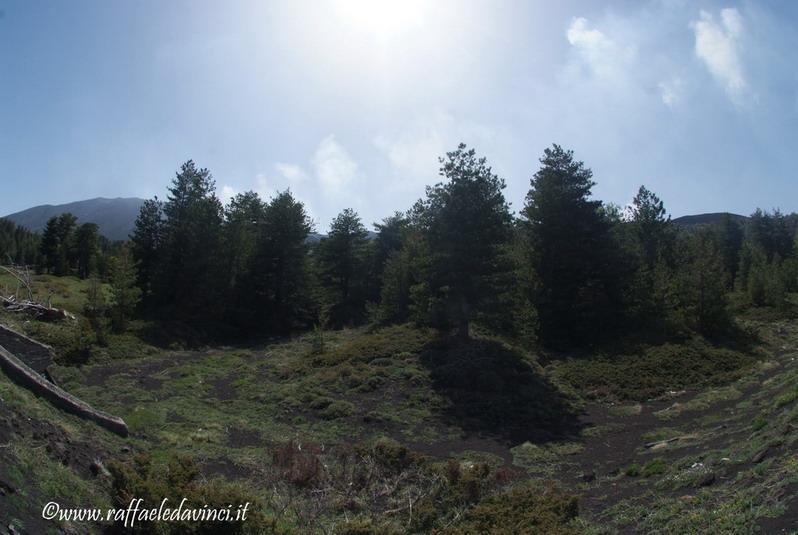 Etna1. 17mag08 (186)_ridimensionare_ridimensionare.jpg